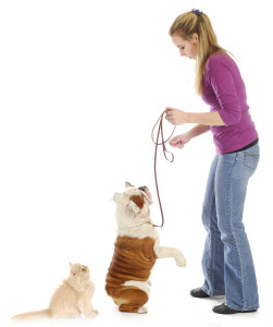 woman with dog on leash and kitten looking up to her with reflection on white background